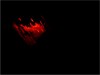 Quietly Burning 
